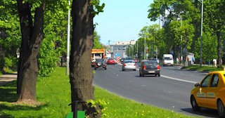 Посадка деревьев и кустарников в Новороссийске — стоимость от 1225 руб.